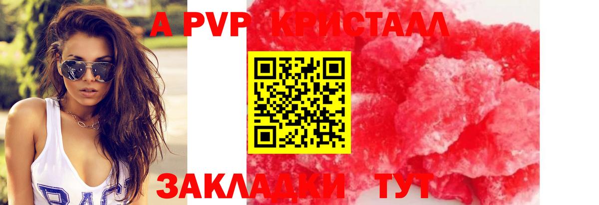 Alfa_PVP СК КРИС  A PVP крисы CK  Вход с VPN  Новошахтинск 