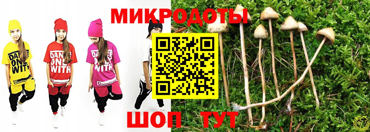 Галлюциногенные грибы GOLDEN TEACHER  Вход с VPN  Новошахтинск 